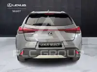 2019 Lexus UX200