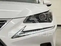 2019 Lexus NX300