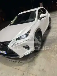 2019 Lexus NX300