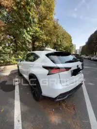 2019 Lexus NX300