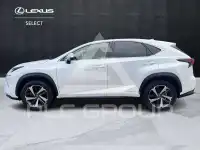 2019 Lexus NX300