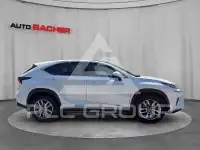 2019 Lexus NX300