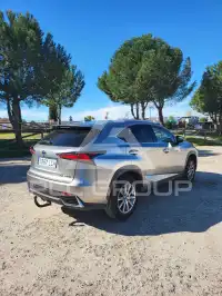 2019 Lexus NX300