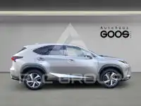 2019 Lexus NX300