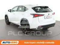 2019 Lexus NX300