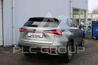 2019 Lexus NX300