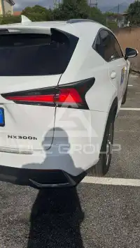 2019 Lexus NX300