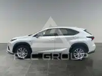 2019 Lexus NX300