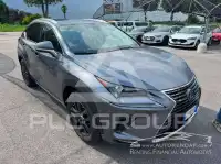 2019 Lexus NX300