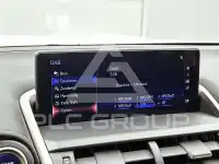 2019 Lexus NX300