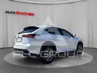 2019 Lexus NX300