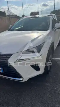 2019 Lexus NX300