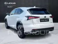 2019 Lexus NX300