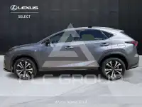 2019 Lexus NX300