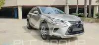2019 Lexus NX300
