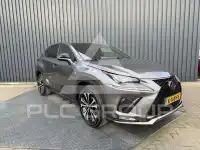 2019 Lexus NX300