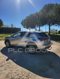 2019 Lexus NX300
