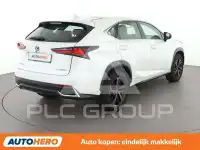 2019 Lexus NX300