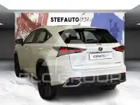 2019 Lexus NX300