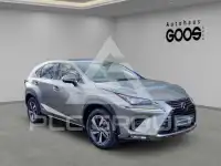 2019 Lexus NX300