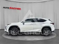 2019 Lexus NX300