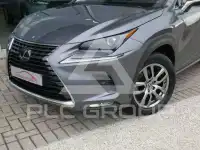 2019 Lexus NX300