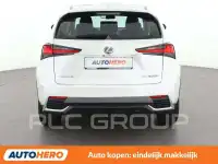2019 Lexus NX300
