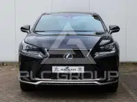2019 Lexus NX300