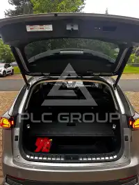 2019 Lexus NX300