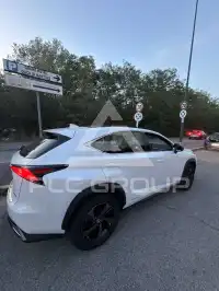 2019 Lexus NX300
