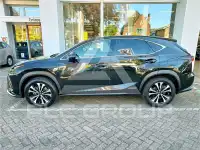 2019 Lexus NX300