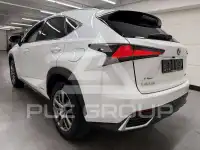 2019 Lexus NX300