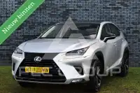 2019 Lexus NX300