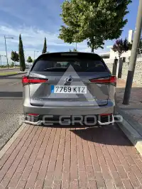 2019 Lexus NX300