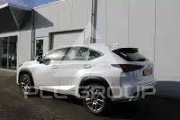 2019 Lexus NX300
