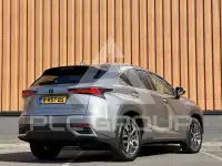 2019 Lexus NX300