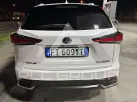 2019 Lexus NX300
