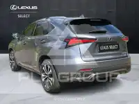 2019 Lexus NX300