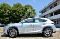 2019 Lexus NX300