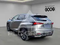 2019 Lexus NX300