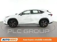 2019 Lexus NX300