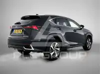 2019 Lexus NX300