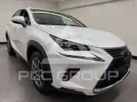 2019 Lexus NX300