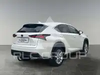 2019 Lexus NX300