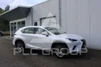 2019 Lexus NX300