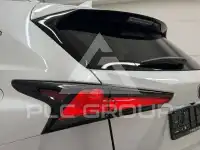 2019 Lexus NX300