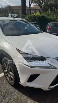 2019 Lexus NX300