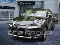 2019 Lexus NX300
