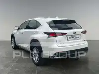 2019 Lexus NX300