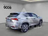 2019 Lexus NX300